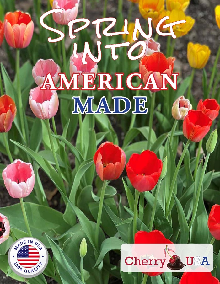 Spring Front Cover Image